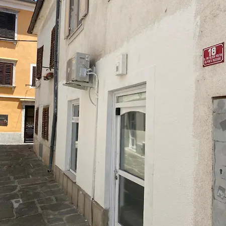 Neri Koper